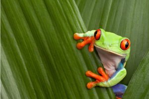 First 100 percent recycled wall graphic fabric introduced