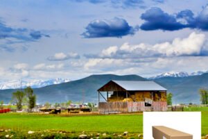 Kodak premium rapid-dry white film features block-out back coating to prevent light from shining through