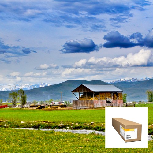 You are currently viewing Kodak premium rapid-dry white film features block-out back coating to prevent light from shining through