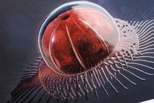 You are currently viewing XAAR launches ‘larger drop’ 1002 GS12 printhead for UV printing