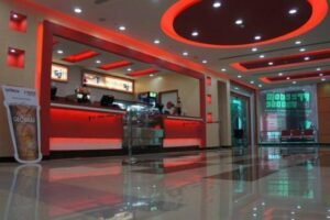 SRS Cinema targets for 100 screens by end 2015