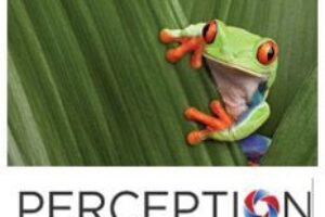 PVC-free wallpaper made 10 percent waste materials released