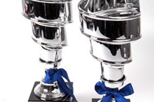 11 Indian companies among winners of HP Digital Print Excellence Awards 2015