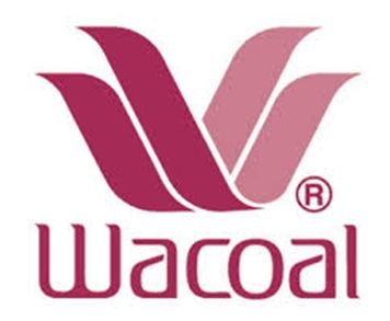 You are currently viewing Wacoal to spend Rs 20 crore to open 75 outlets in India