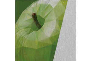 New InVinci PVC-free polyester canvas released