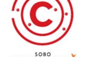 Future Group to add six larger Central brand stores