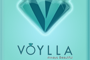 Jewellery brand Voylla targets 400 stores by 2020