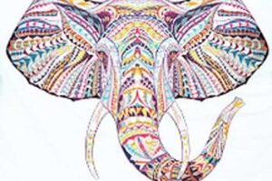 Roland DG announces new HeatSoft SATIN media for heat transfer applications