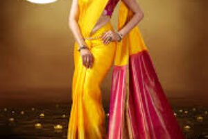 Chennai Silks opens 20th outlet in Tamil Nadu