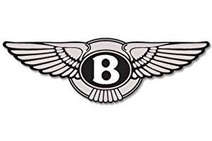 Luxury carmaker Bentley plans more showrooms in India