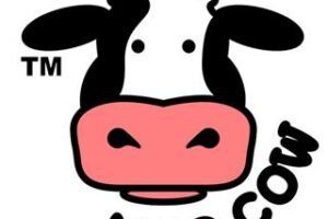 MooCow to enter India in March 2018 with plan to open 100 stores