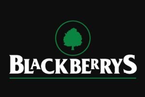 Menswear brand Blackberrys aims to add 100 new stores this fiscal