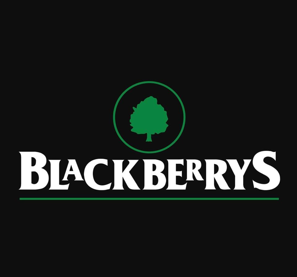 You are currently viewing Menswear brand Blackberrys aims to add 100 new stores this fiscal