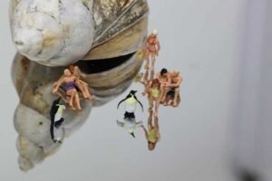 Aslan adds gold mirror effect to its existing silver self-adhesive polyester films