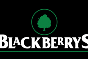 Blackberrys to add 100 more exclusive stores by March 2019