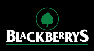 You are currently viewing Blackberrys to add 100 more exclusive stores by March 2019