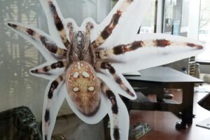 Mactac introduces next-generation B-Free Window Films