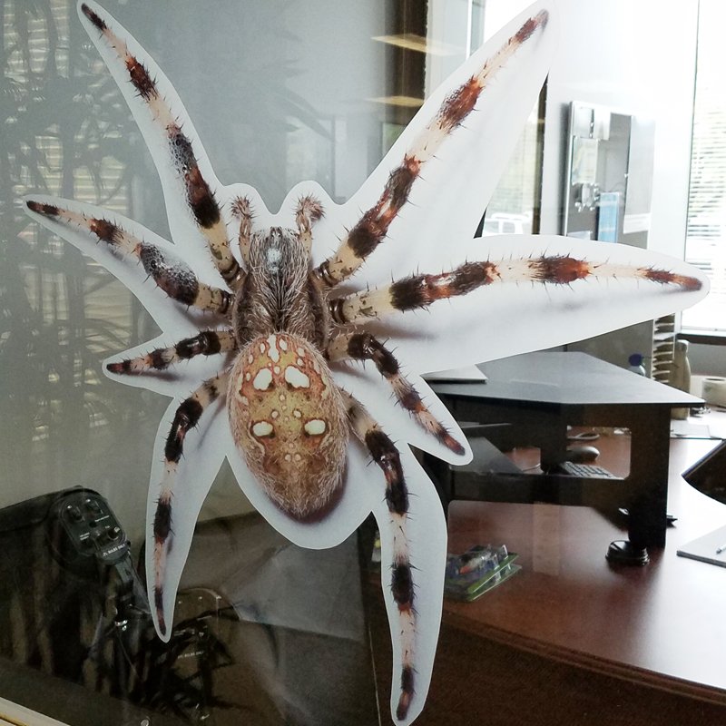 Read more about the article Mactac introduces next-generation B-Free Window Films