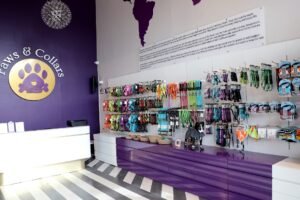Paws & Collars opens first-of-its-kind pet mall in India