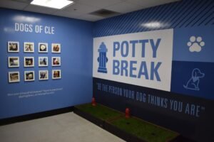 Cleveland airport opens dog relief area with unique wall graphics
