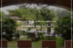 Amritsar unveils new flagship restaurant ‘The Bagh’