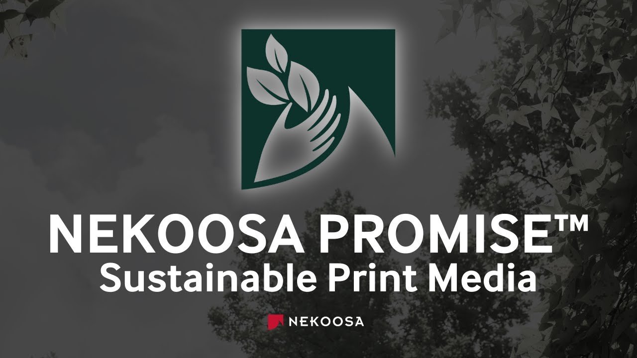 Read more about the article Nekoosa releases new portfolio of sustainable media