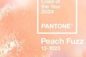Pantone announces ‘Peach Fuzz’ as ‘Colour of the Year 2024’