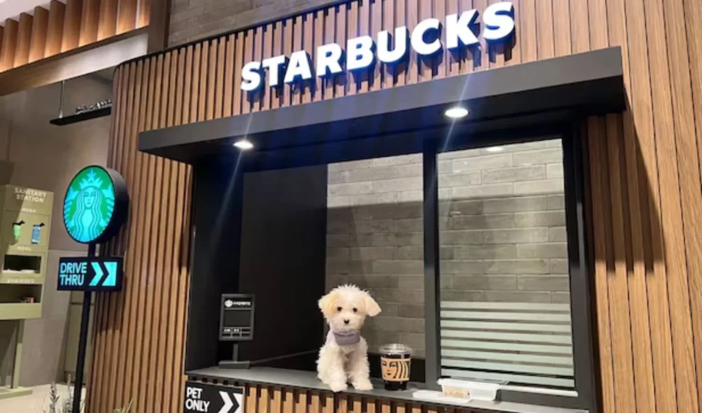 Untitled design 55.jpg