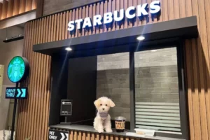 Starbucks launches first pet-friendly store in India at Jaipur