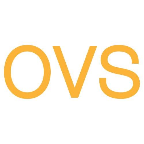 Read more about the article OVS forays into India with first store in New Delhi