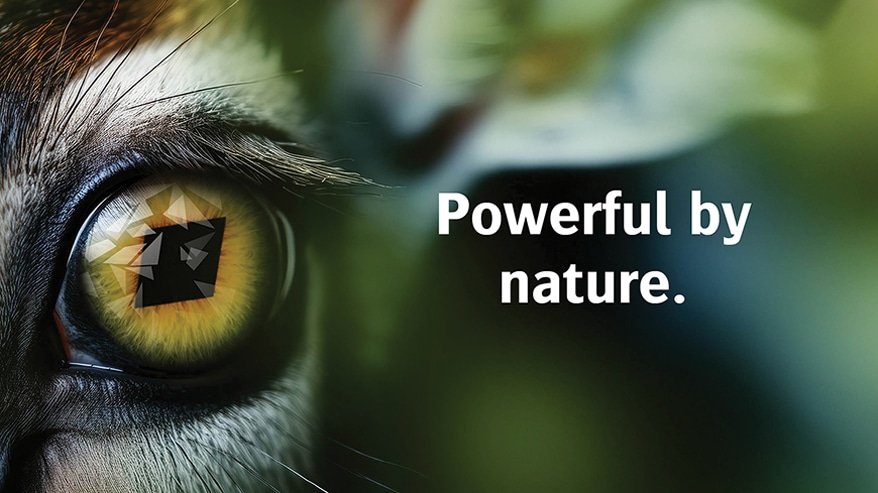 Read more about the article AGFA ‘Eco-System’ minimises environmental impact