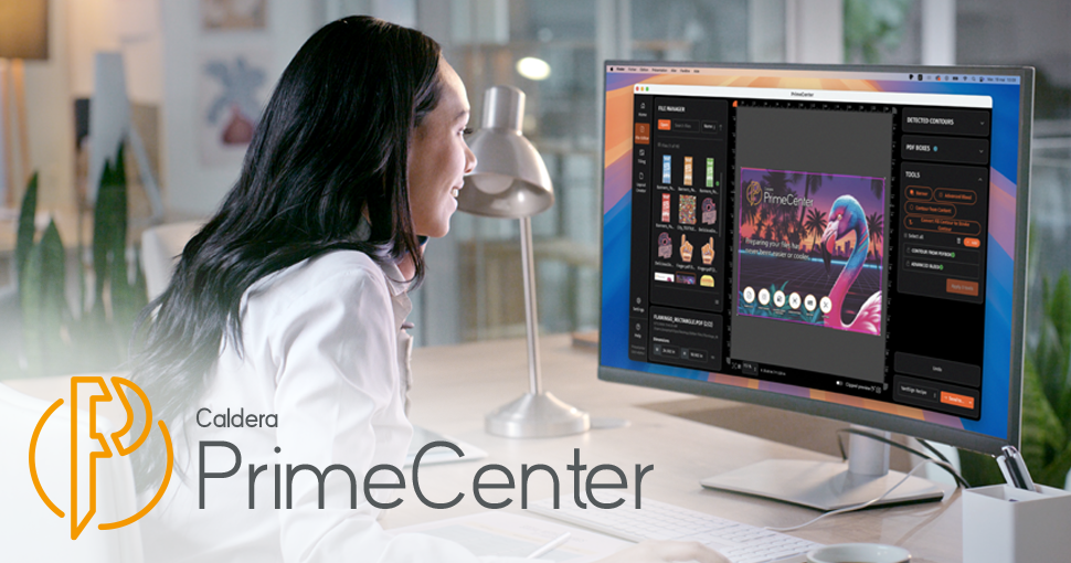 PrimeCenter Mockup Flamingo Logo
